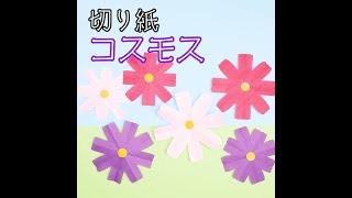 動画 折り紙を広げると花が咲く 切り紙コスモス 保育士求人なら 保育士バンク 動画 折り紙を広げると花が咲く 切り紙コスモス 保育士求人なら 保育士バンク