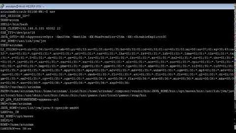 Linux - env Command - w3resource