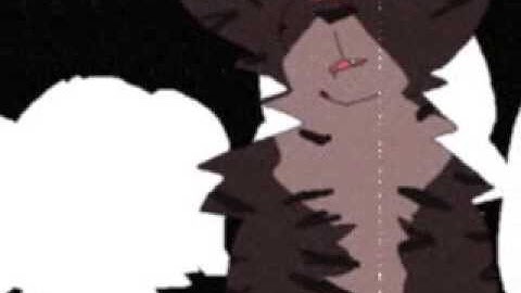 w͠ire̢s҉  - darkstripe/tigerstar