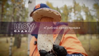 картинка: Грибний сезон триває ▶ ШОуОЛДА №415 ▶ Трофей