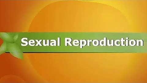 Reproduction in Animals। Part-1। NCERT Class 8 Science Chapter 9