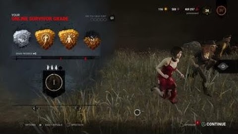 Dead by Daylight   ( killer  plague  )   me as new year eve Ada