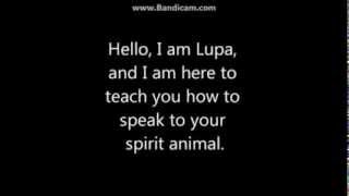 How to speak to your spirit animal