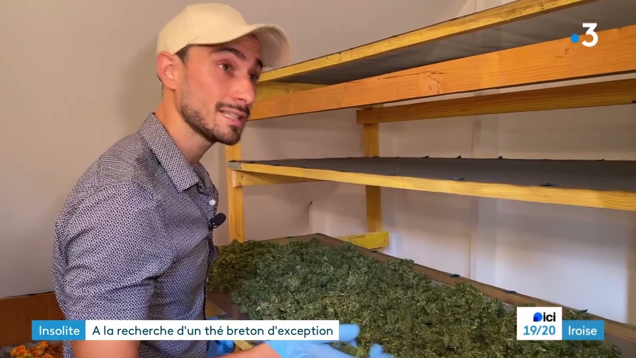 Reportage France 3 Bretagne - L'Eden des Thés