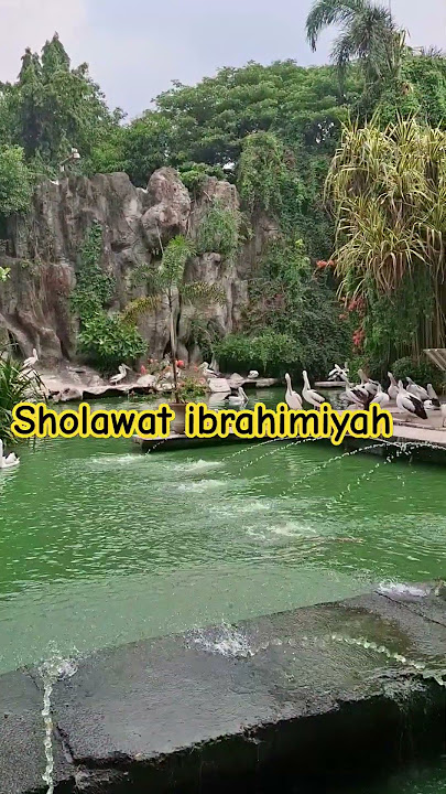 Sholawat ibrahimiyah #viralvideo #shortsvideo #sholawat #shorts #quotes #trending #video