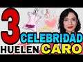 3 PERFUMES DE CELEBRIDAD QUE HUELEN MÁS CARO DE LO QUE SON❗...