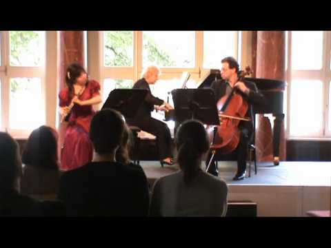 CM von Weber Trio g moll op.63 - 1 mov
