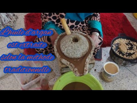 طريقة استخراج زيت أرگان بالطريقة التقليدية للأكل و التجميل زيت أرگان آملو الرحى