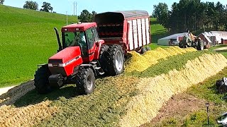 видео: Самая высокая куча, которую мы когда-либо строили! Заготовка кукурузного силоса! Сезон сбора урож... картинка: Самая высокая куча, которую мы когда-либо строили! Заготовка кукурузного силоса! Сезон сбора урож...