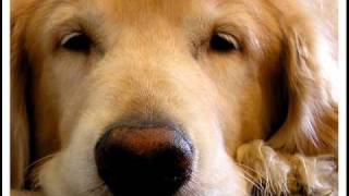 Halo Fanfiction Halos In Space