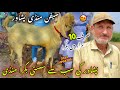 Bakra mandi peshawar new updates 1152024 eid ul azha goat price  khyber social tv official