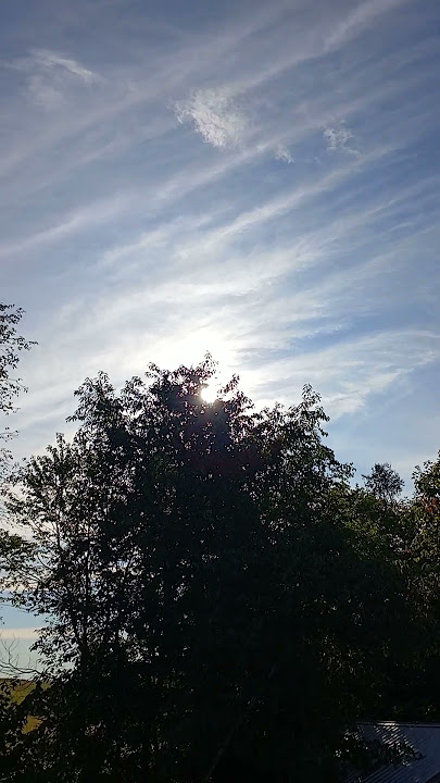 Beautiful Day with Sunshine.