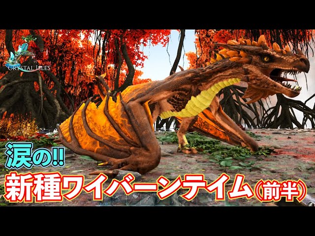 Ark 涙のクリスタルワイバーンテイム 前半 47 クリスタルアイルズ Youtube