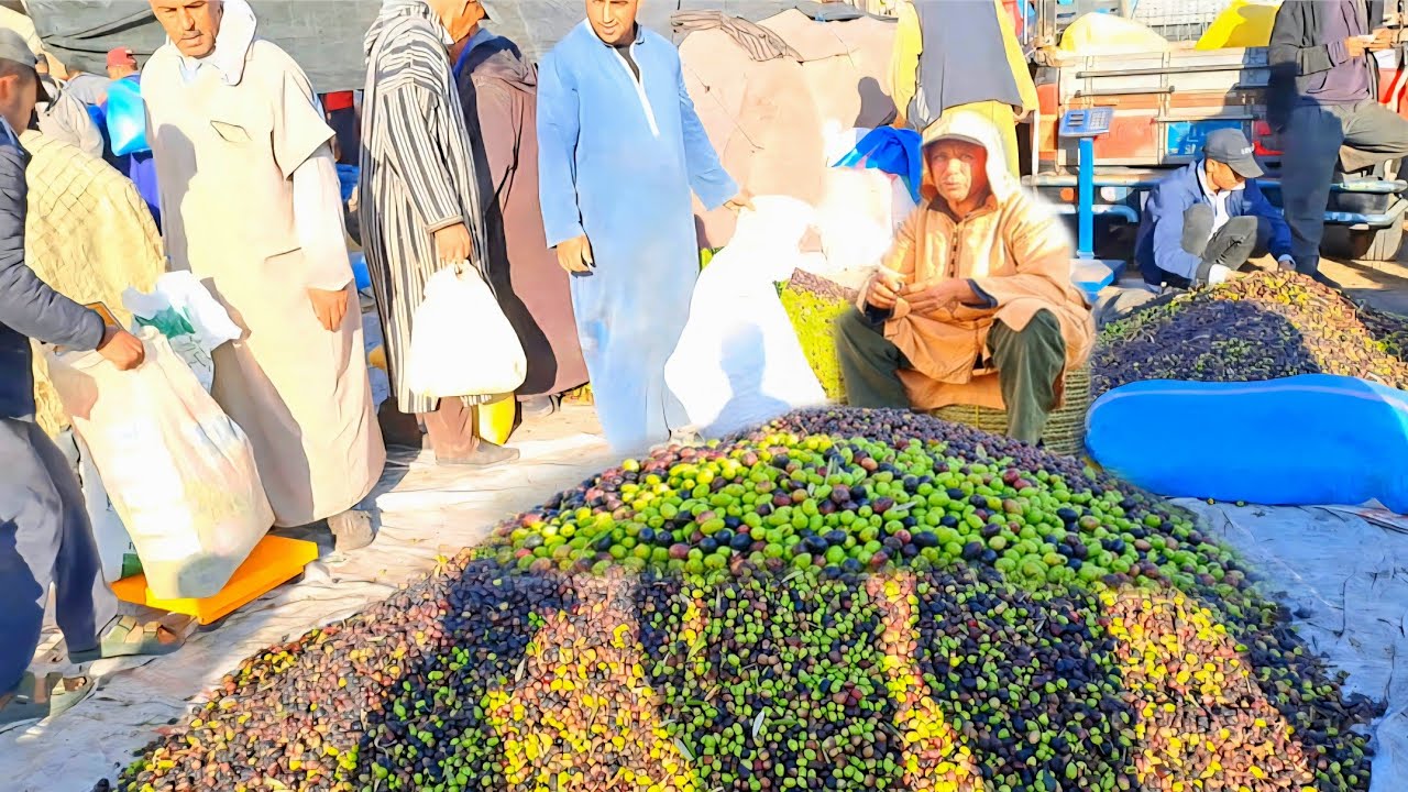 مباشرة من سوق حد درى 2025/10/26 مع ثمن زيتون منطقة شياضمة إقليم صويرة🇲🇦