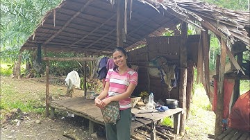 Gadis Dayak || Hidup di Pondok, Makan Hasil Alam Hutan Kalimantan