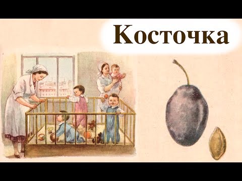 Родная речь | Книга для чтения в 1 классе | Косточка