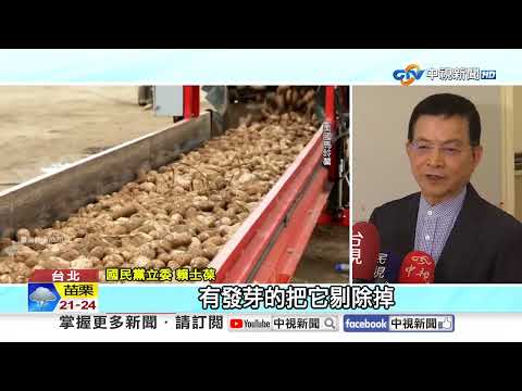 美國馬鈴薯"逐顆檢查"?! 衛福部:採批次抽驗.超標整批退│中視新聞 20260423