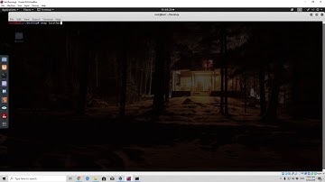 24   Bypassing IDS & IPS