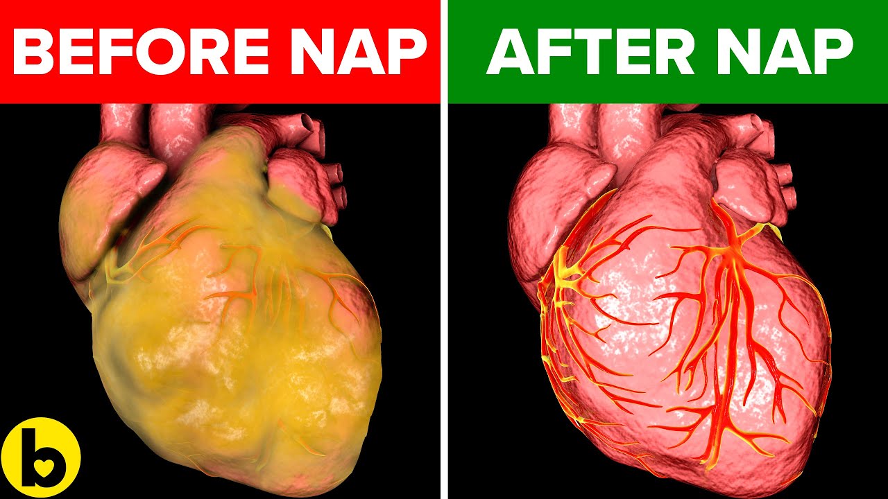 Here’s what happens to your Body when you take Afternoon Naps