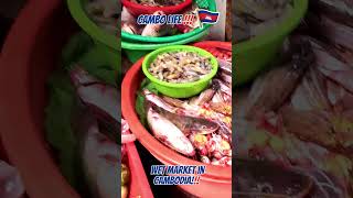 Download Lagu Boeng Keng Kang Market, Phnom Penh, Cambodiaπ₯°π₯°π₯°π°ππ°ππ°π MP3 Download Lagu Boeng Keng Kang Market, Phnom Penh, Cambodiaπ₯°π₯°π₯°π°ππ°ππ°π MP3