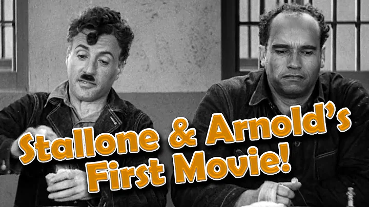 Arnold Schwarzenegger and Sylvester Stallone DID M...