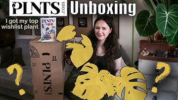 PLNTS.com unboxing / I got my top wishlist plant