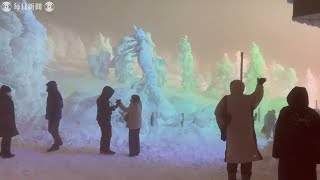 蔵王の樹氷　色鮮やかに照らされ　2月末までライトアップ　山形