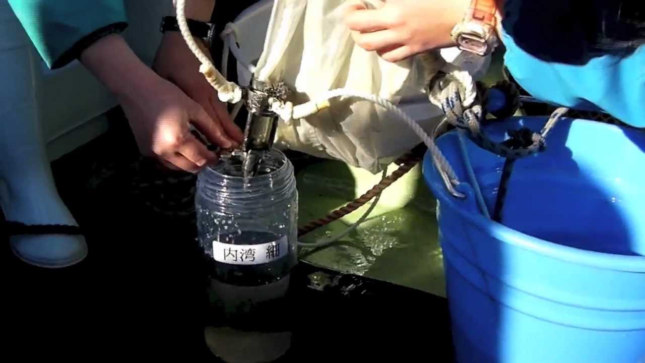プランクトンネット 下田 海洋生物採集日記