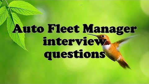 Auto Fleet Manager interview questions