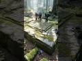 Forest Clearing Reveals Stone Platform No Records Mention