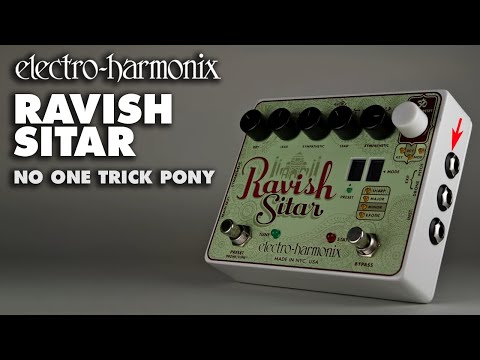 Electro-Harmonix Ravish Sitar Emulator "No One Trick Pony" (Guitar Effects Pedal)