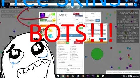 Bots and skin hack in Agar.io