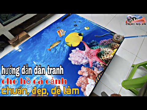 Video: Làm thế nào để làm cho đồ ngủ cho chó