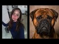 Natalie Shirilla wants to buy Mackenzie Shirilla big Bullmastiff dog to ride down ORW prison hallway