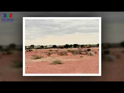 CIIDANKA DOWLADDA IYO MALEESHIYO OO KU DAGAALAMAY MAATBAAN