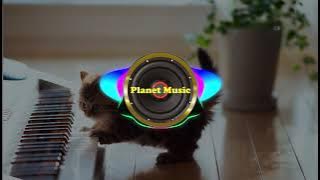 Paro Beats - Kevin MacLeod - The Entertainer Funny Piano Music CC BY 3