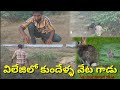 విలేజిలో కుందేళ్ళ వేట గాడు//VILLAGE SHORT FILMS//srithu creations#//RAJ.SIVA.