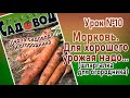 МОРКОВЬ. Для хорошего урожая надо.  Урок №10