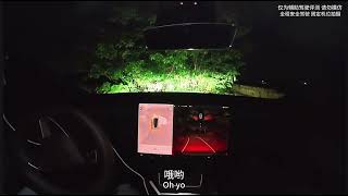 FSD V14 in China’s Rice Fields Is Absolutely Insane