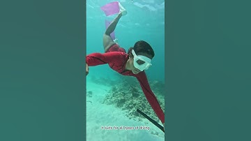 GoPro Hero 11 Black Underwater Tips & Trick