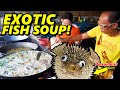 Linarang extreme porcupine fish in cebu is it really poisonous