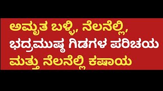 ಅಮೃತಬಳ್ಳಿ, ನೆಲನೆಲ್ಲಿ, ಭದ್ರಮುಷ್ಠಿ ಗಿಡಗಳು ಹಾಗೂ ನೆಲನೆಲ್ಲಿ ಕಷಾಯ | Amruthaballi, nelanelli, bhadramushtti