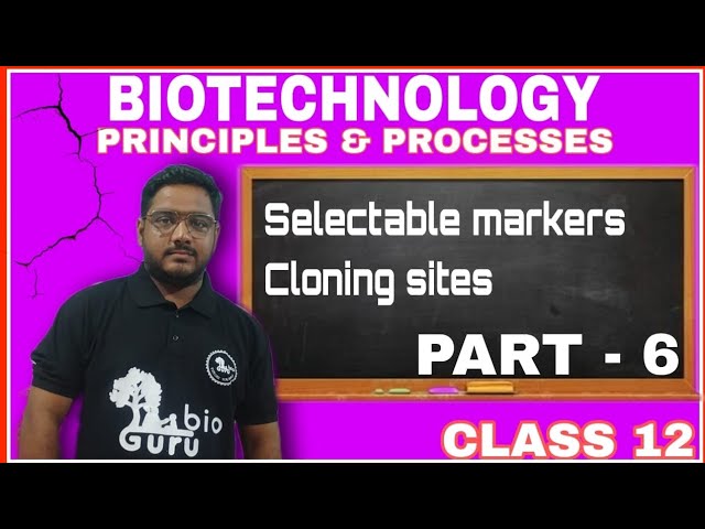 biotechnology principles & processes | selectable markers | cloning site | part 6 | #bioguru #jac