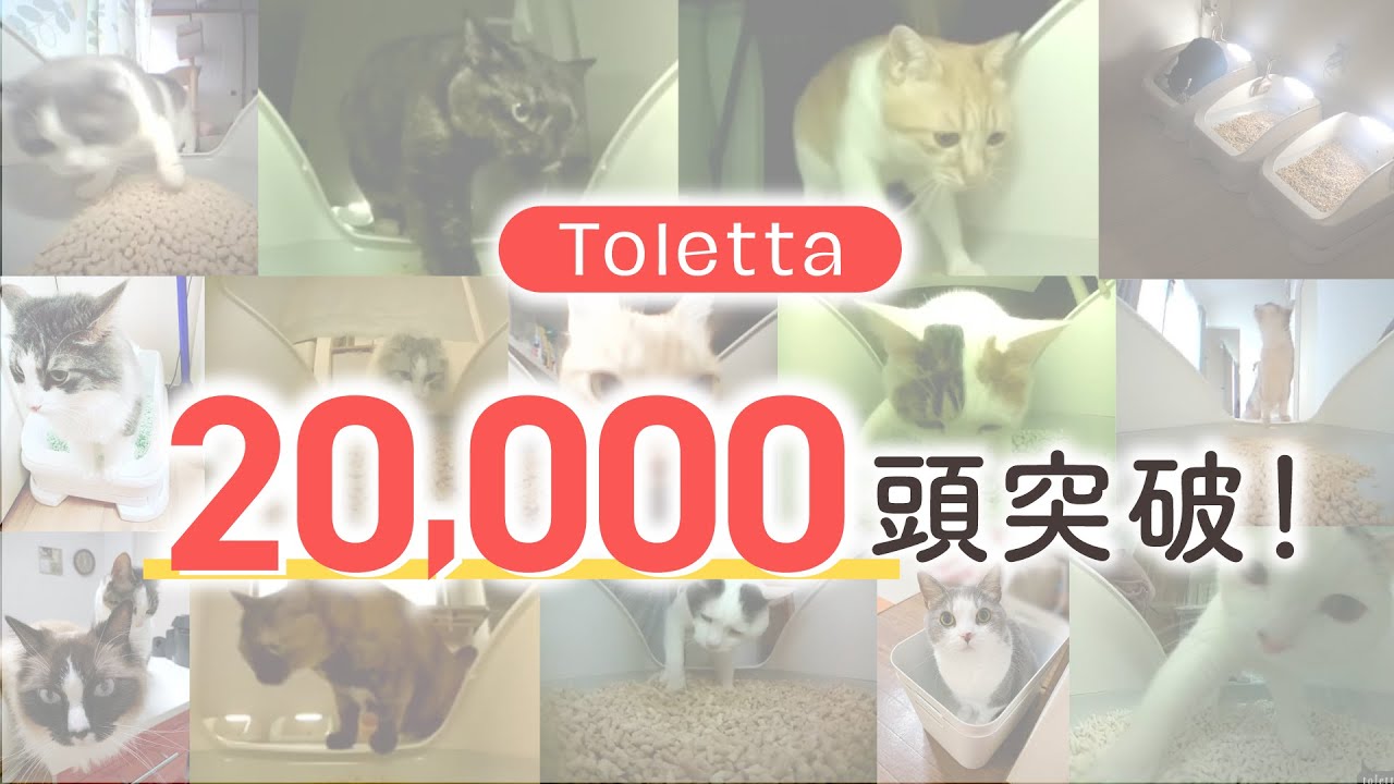 カメラ付きねこトイレ『トレッタ』の利用ねこ頭数が2万頭を突破
