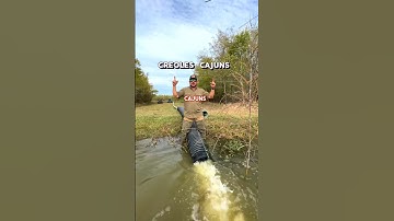 🦞 CAJUNS & CREOLES | What’s the difference?