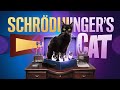 Schrödingers Cat Experiment | Malayalam | Aswin Madappally