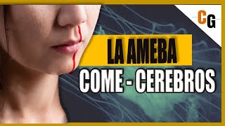 NAEGLERIA: La Ameba COME CEREBROS - Meningoencefalitis Amebiana Primera / Negleriasis Explicada