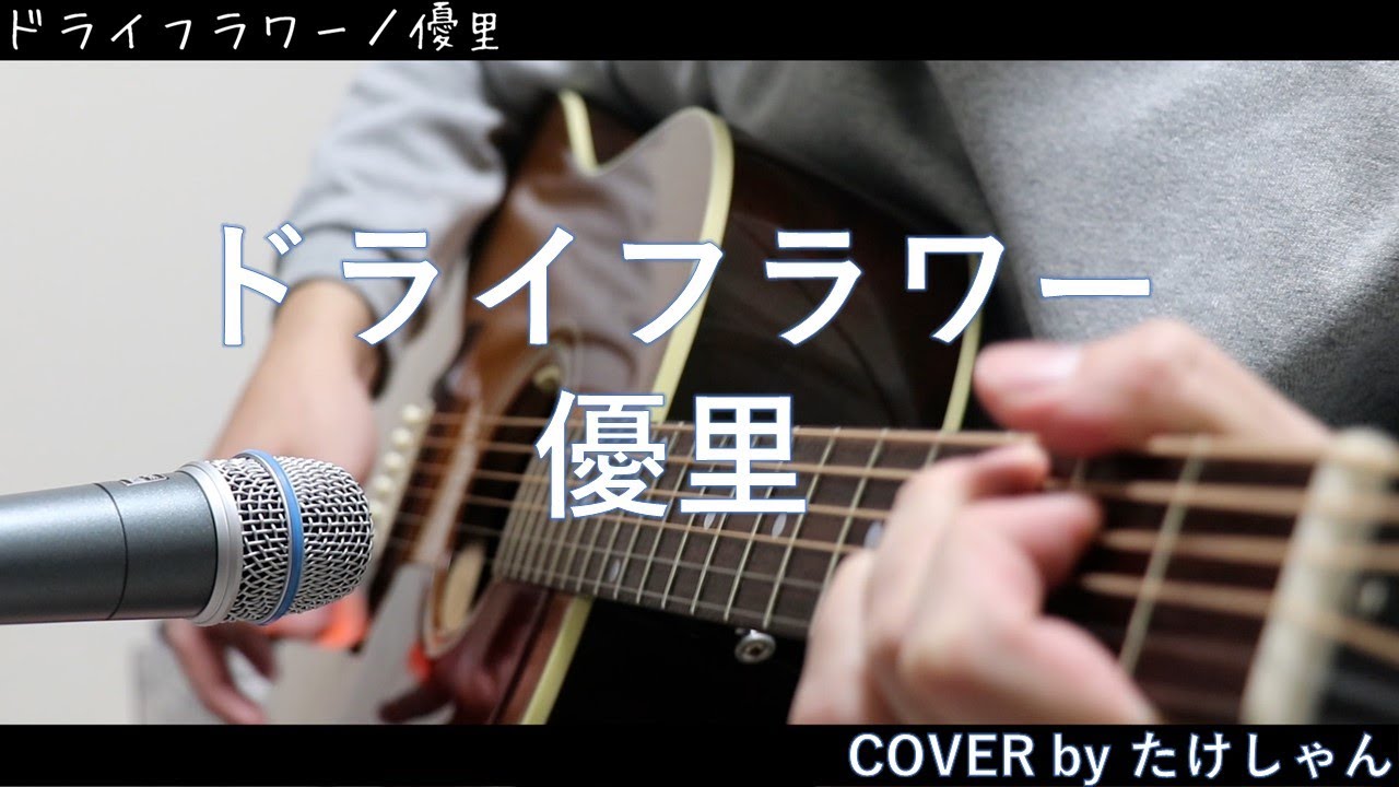 歌ってみた ボーカルにも使われる楽器用マイク SHURE SHURE BETA57Aを