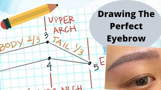 5 Point Technique Makes Drawing Eyebrows (On Paper) Easy! {For Microbladers) screenshot 4