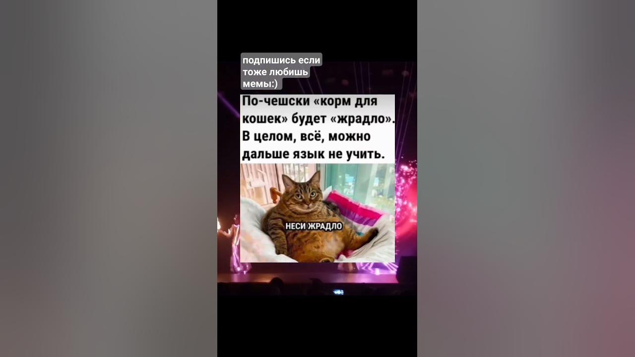 #мемы#жрадло#чехия#чешский - YouTube